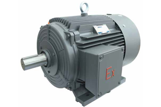 1MT0011系列粉塵防爆電動機